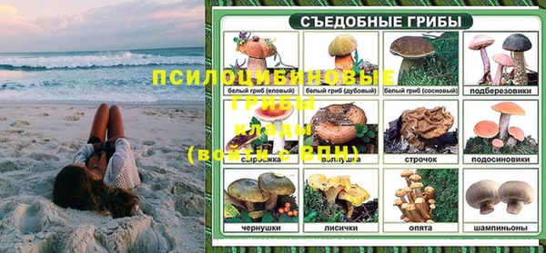бутират Гусь-Хрустальный