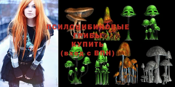 бутират Гусь-Хрустальный
