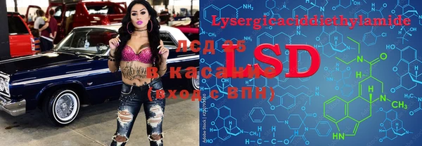 гидропоника Гусев
