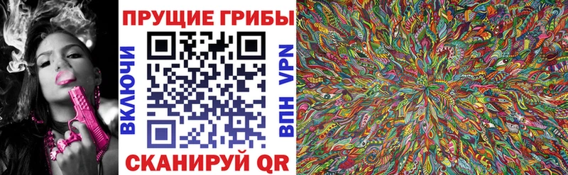Галлюциногенные грибы MAGIC MUSHROOMS  Яхрома 